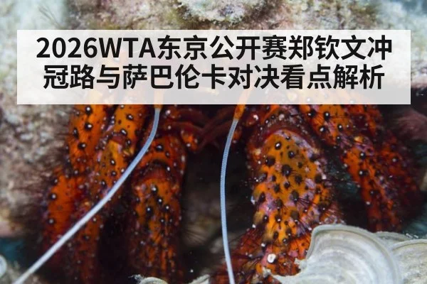 2026WTA东京公开赛郑钦文冲冠路与萨巴伦卡对决看点解析